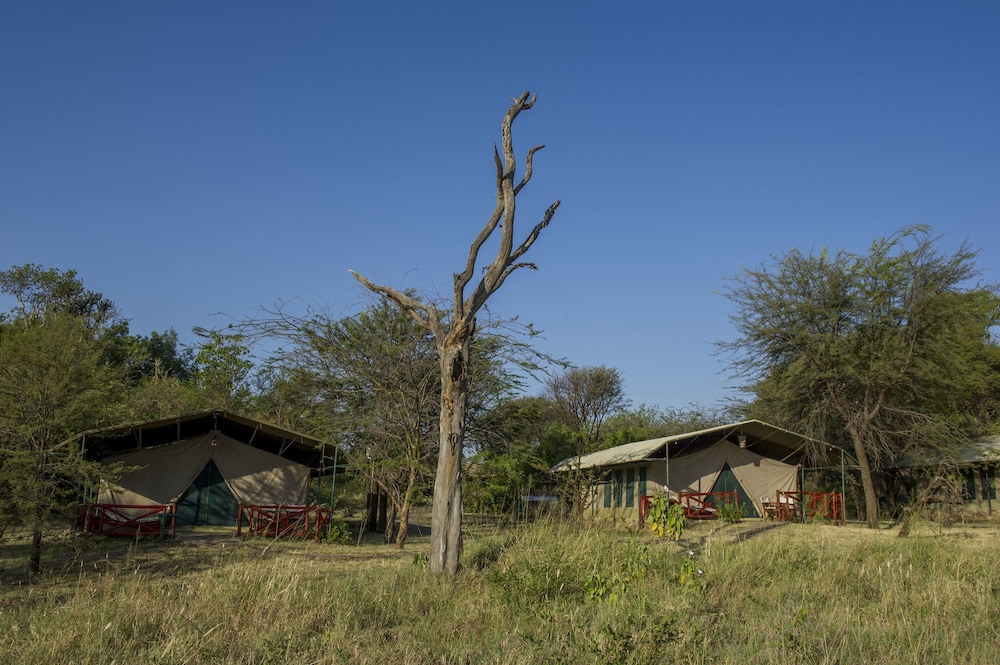Mbuzi Mawe Serena Camp 59/60