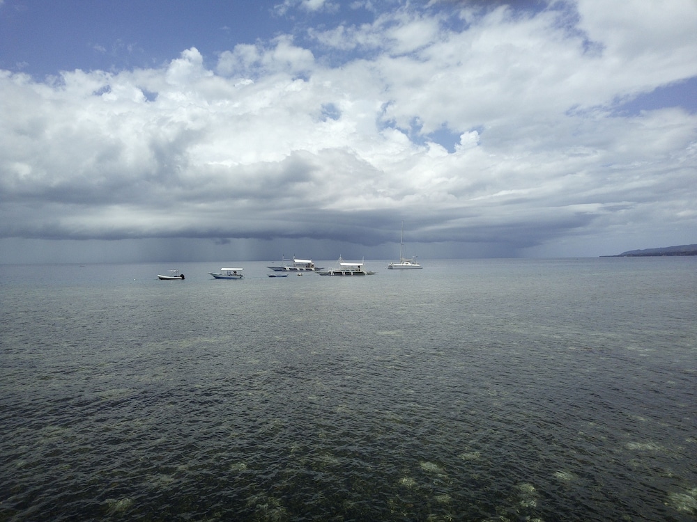 Ocean Bay Beach Resort 33/50
