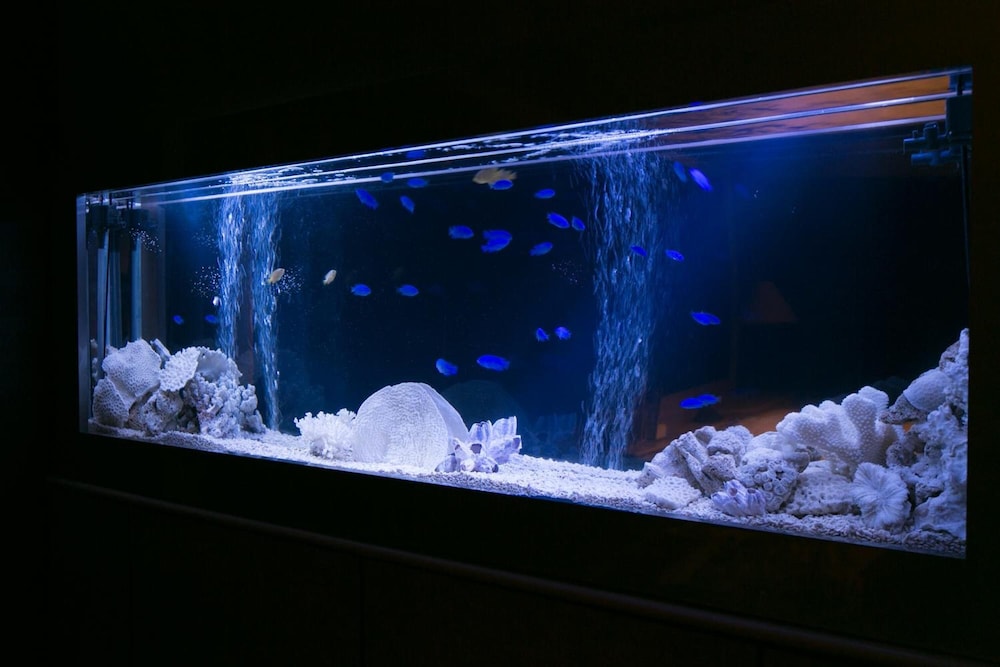 Atlantis Otsu Adults Only酒店(Hotel Atlantis Otsu - Adults Only) 图片4