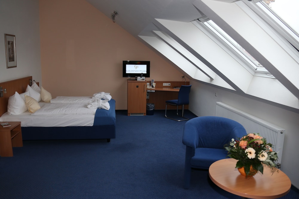Hotel & Restaurant Goldener Pflug 27/77