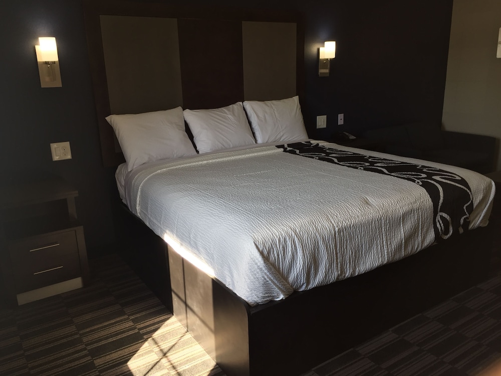 SUITE, KING BED