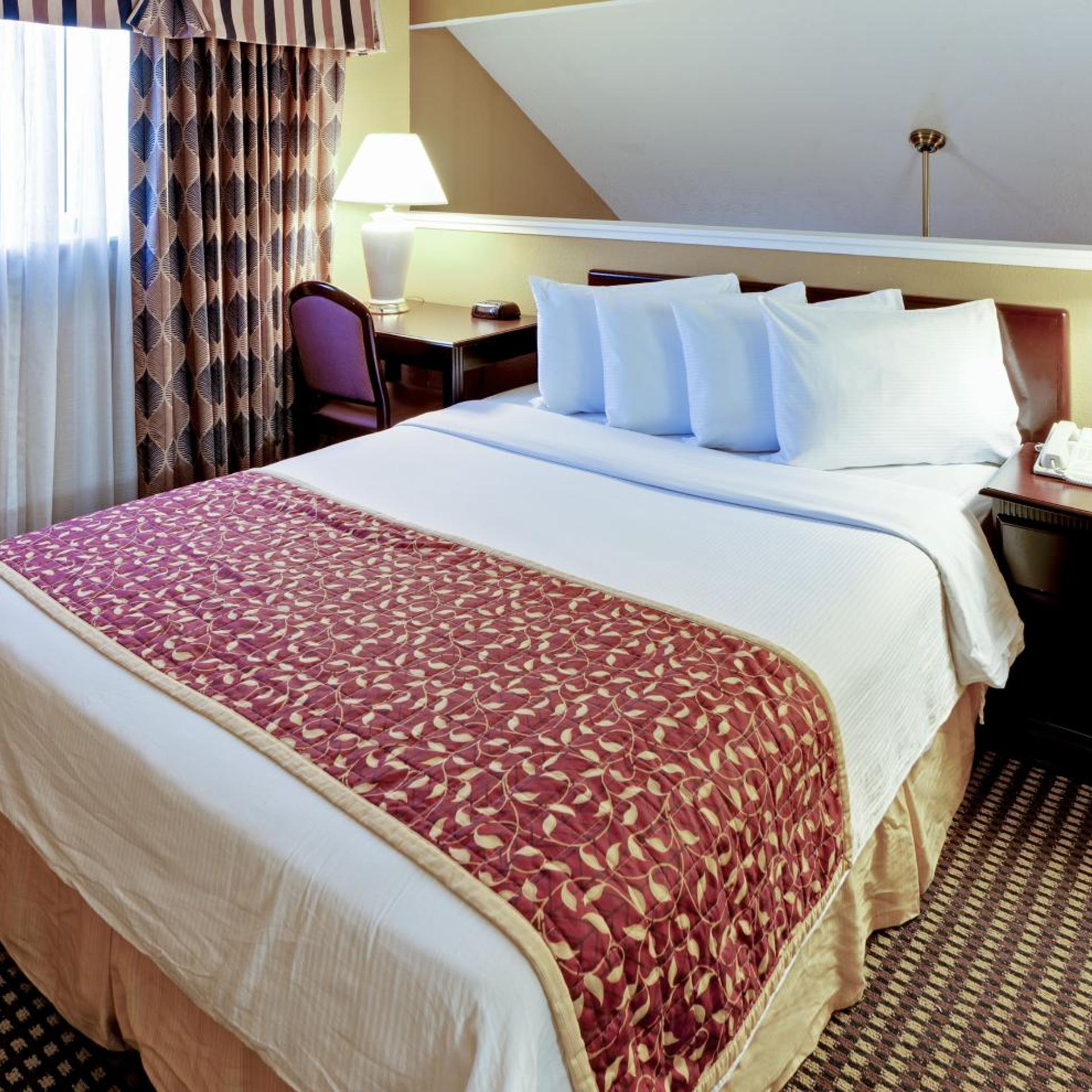 1 Bedroom, Loft, Suite