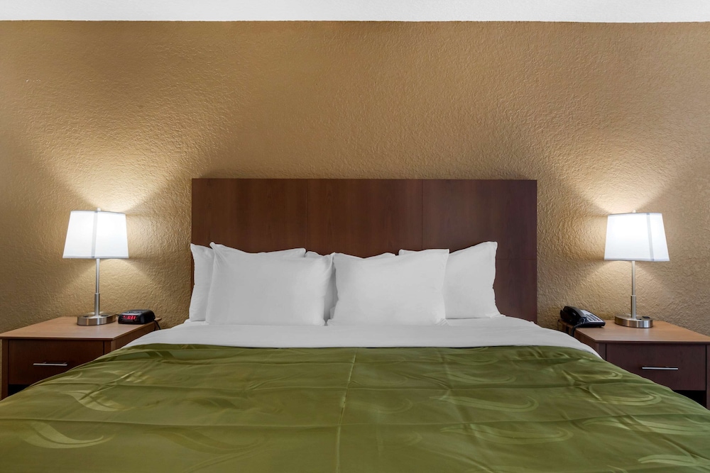 Quality Inn Saint Petersburg North - Tampa Bay 17/33