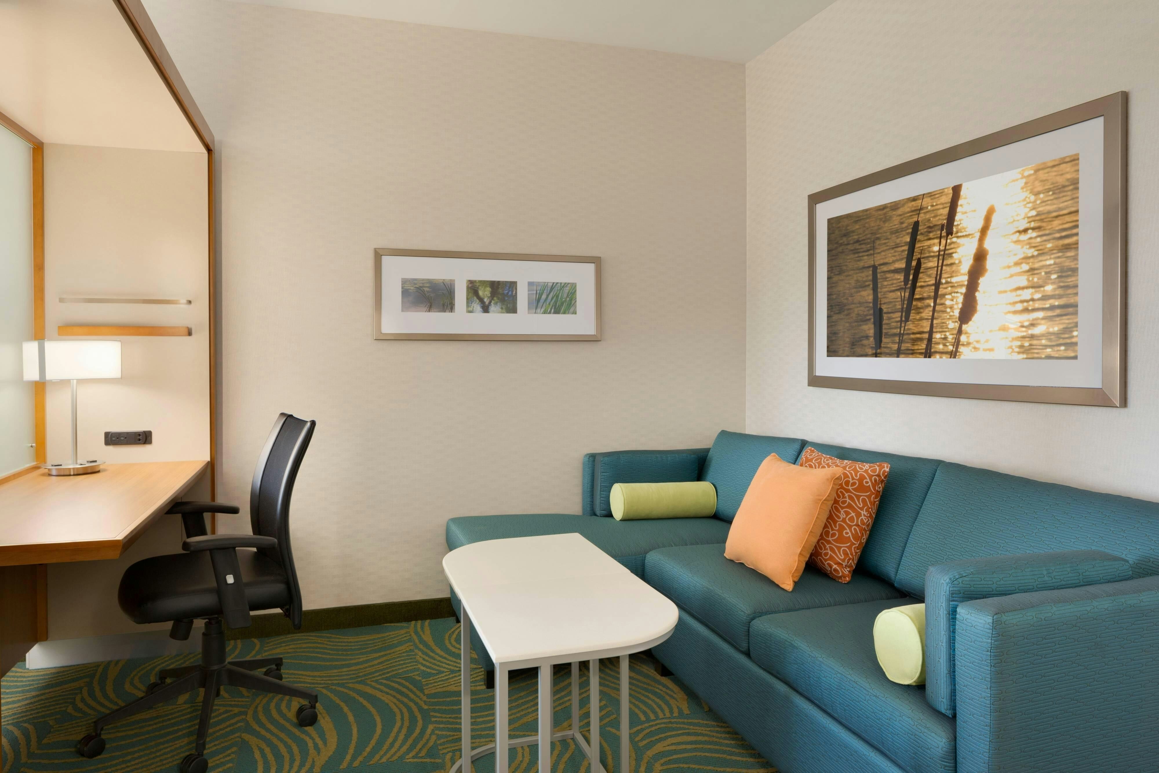 Springhill Suites By Marriott Tuscaloosa 25/48