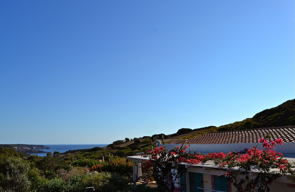 Poecylia Resort 32/39