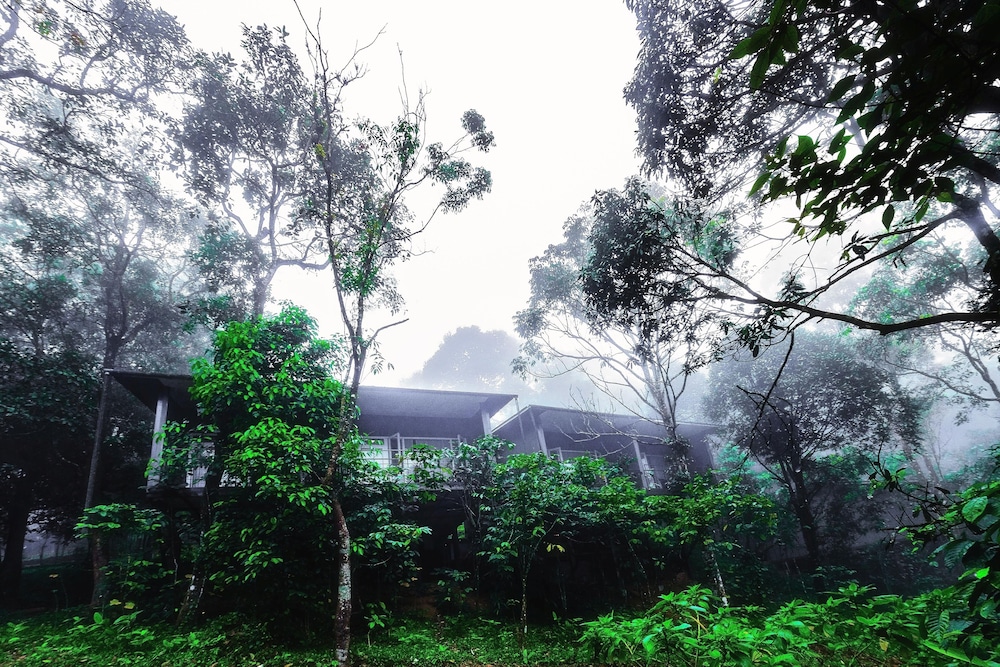 Wayanad Wild - Cgh Earth 39/48