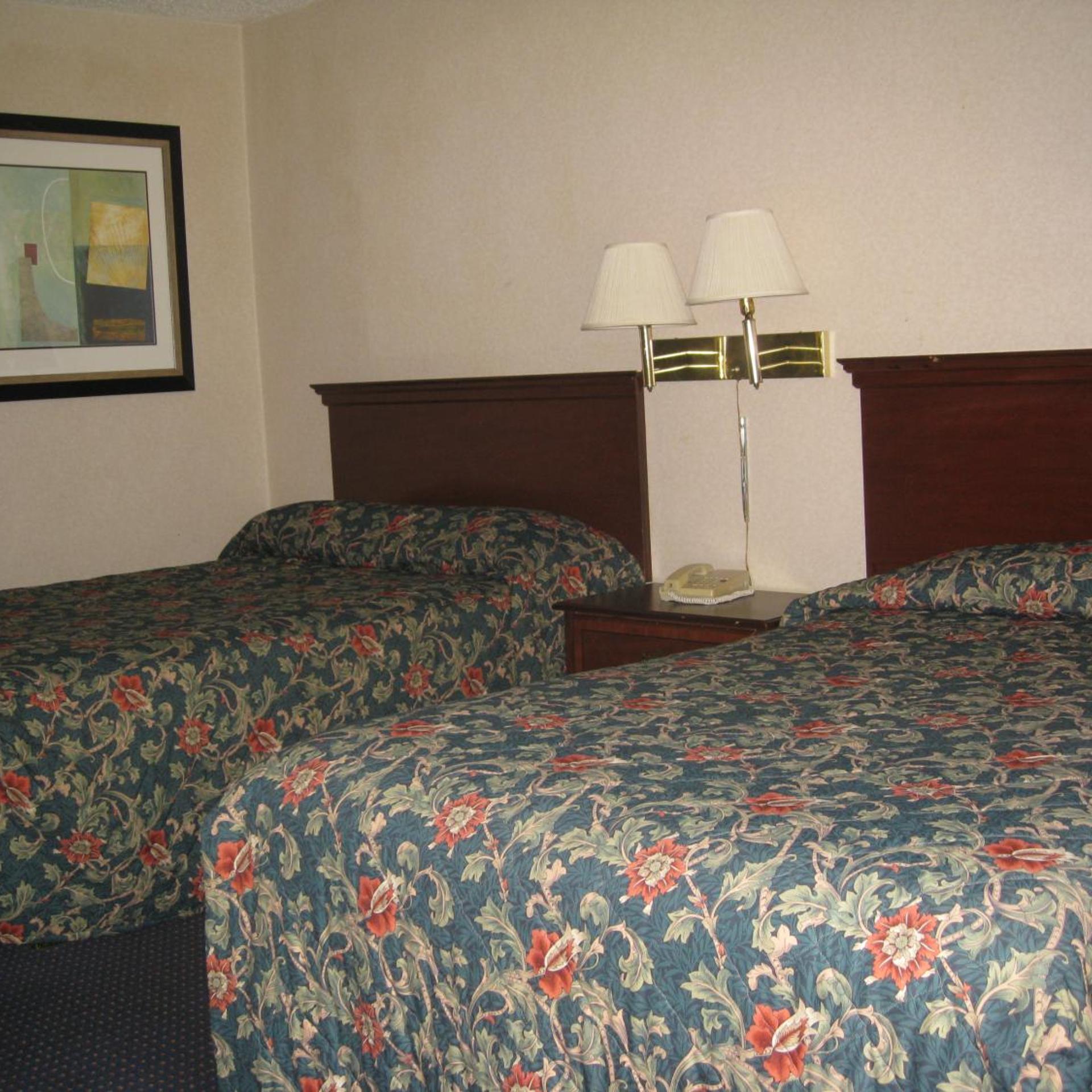 Budget Inn Temple Hills 40/50