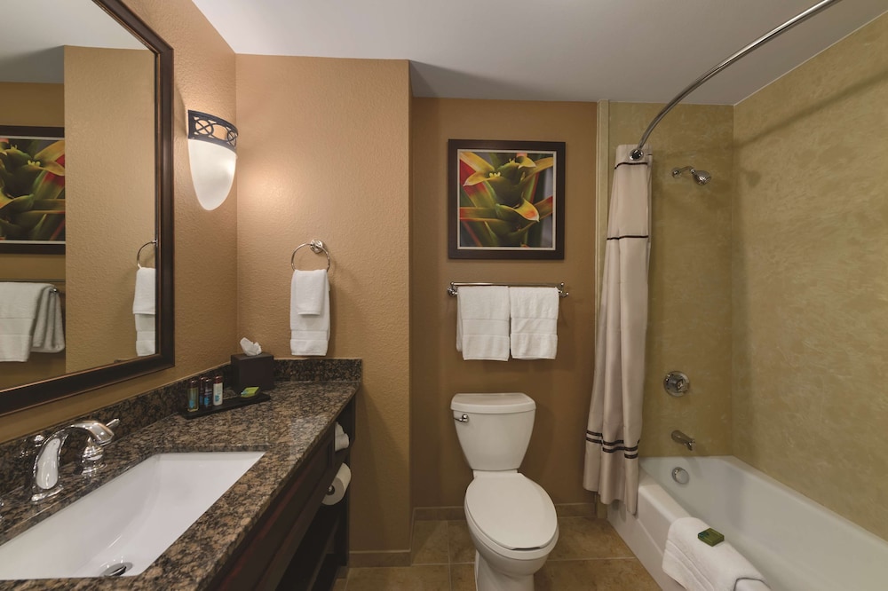 Embassy Suites By Hilton Orlando Lake Buena Vista South 25/82