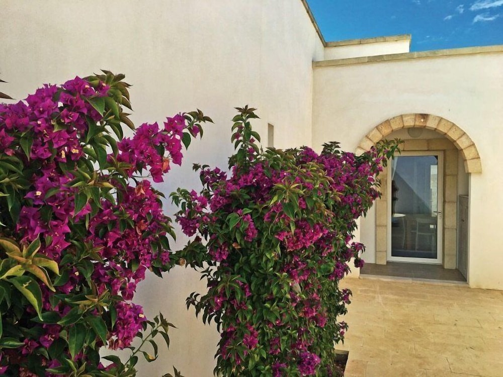 Tenuta Vigna Corallo 32/50