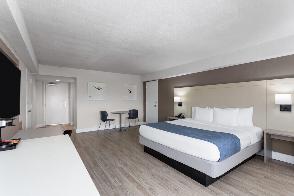 Palm, Suite, King Bed