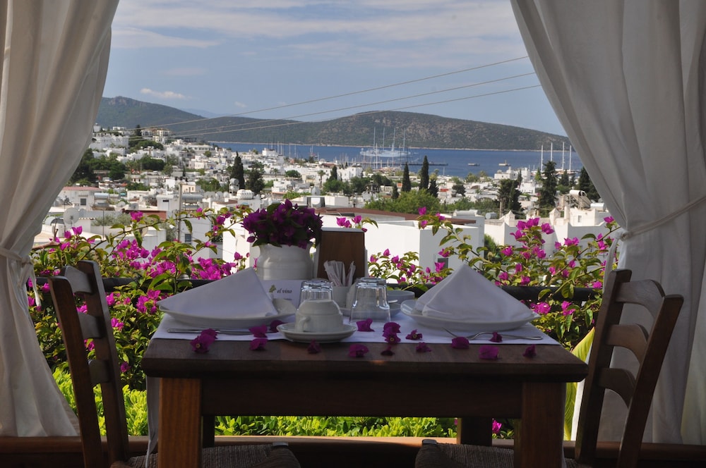 El Vino Hotel Suites 34/50