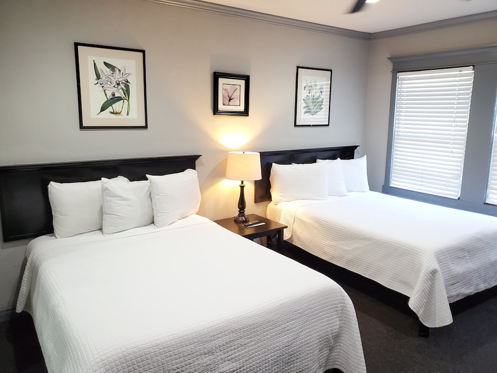 Standard, Single, 2 Queen Beds