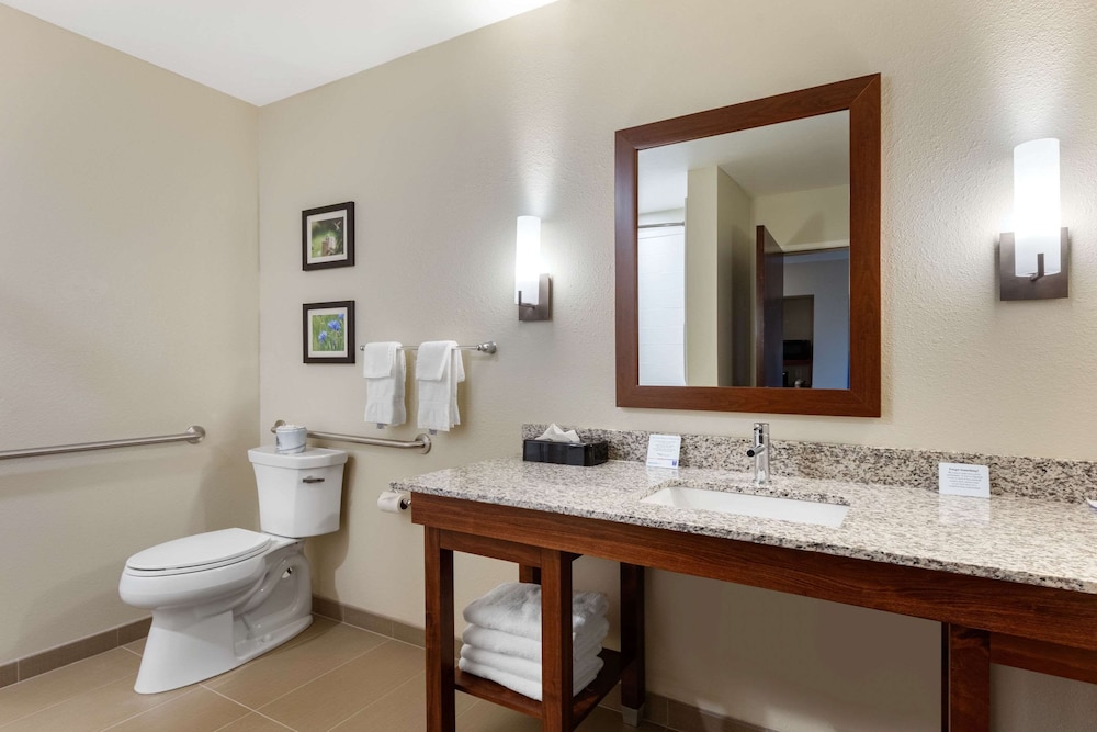 Comfort Inn White House, TN 15/35