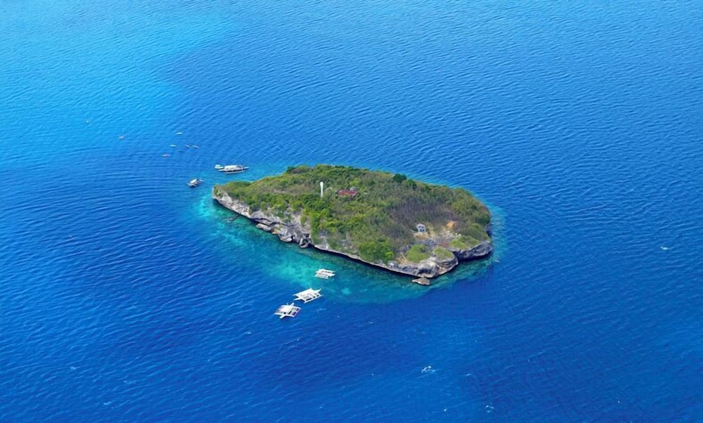 Neptune Diving Resort Moalboal 48/50