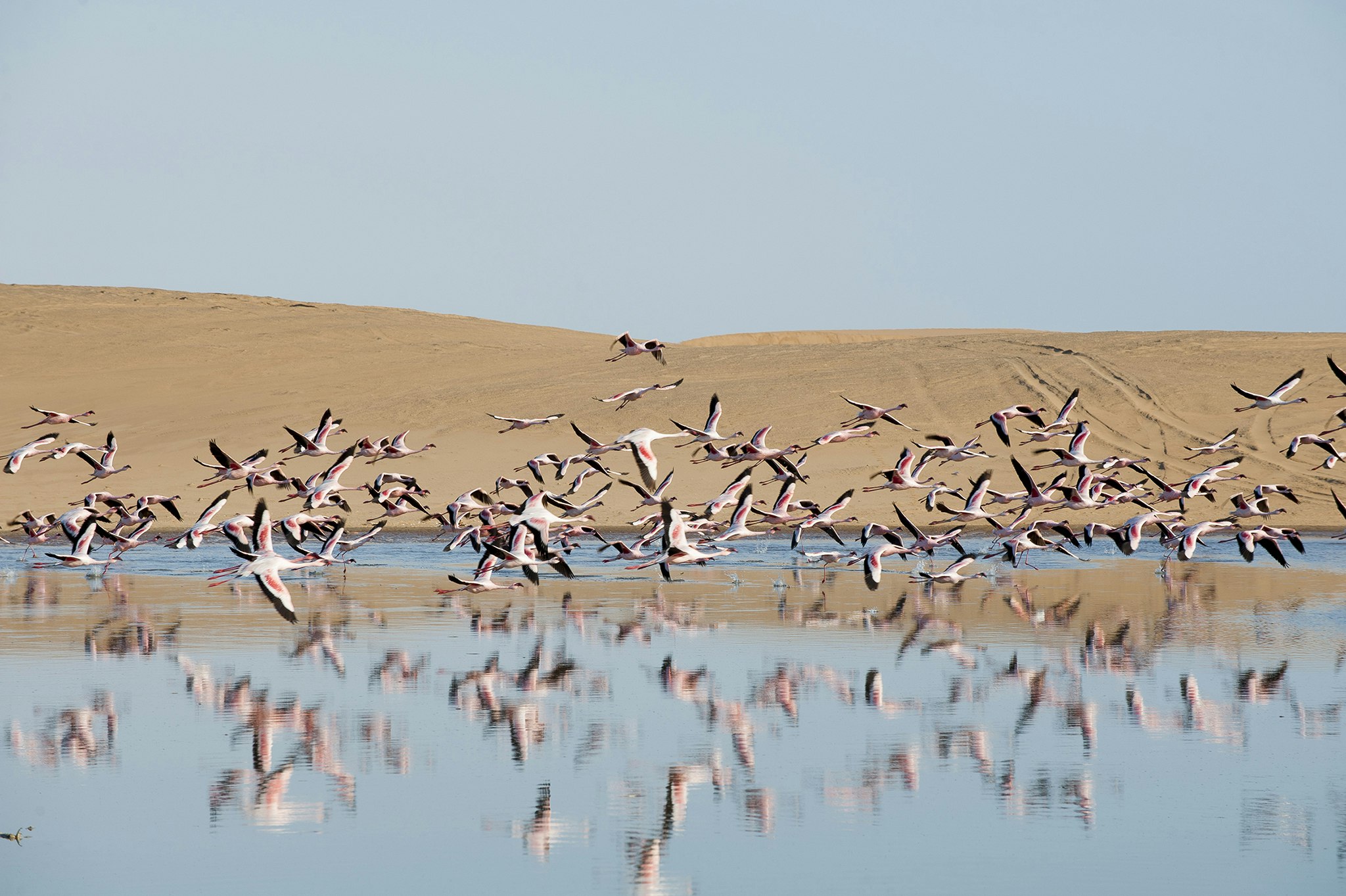 Swakopmund Hotel and Entertainment Centre 20/29