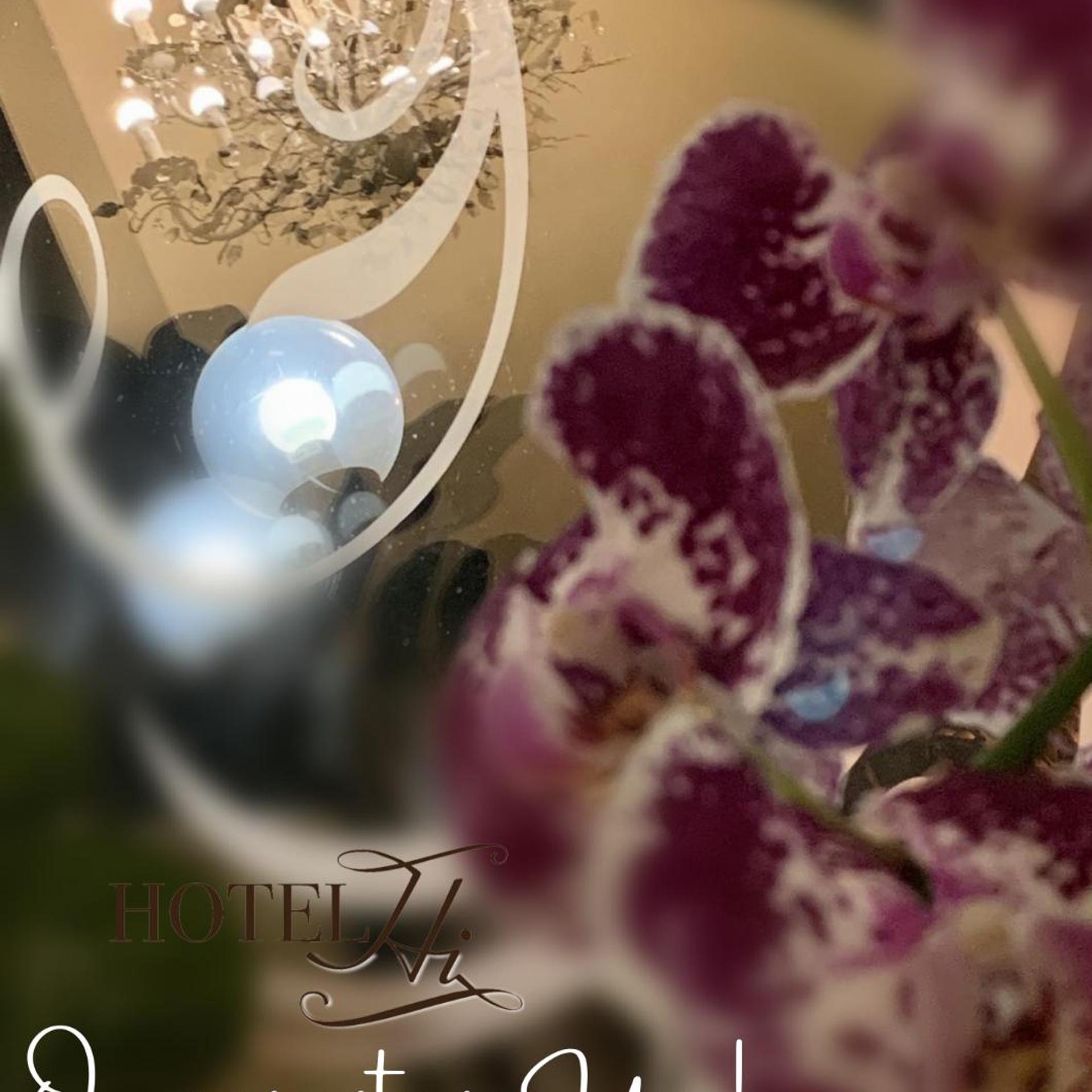 Hi Boutique Hotel 23/50