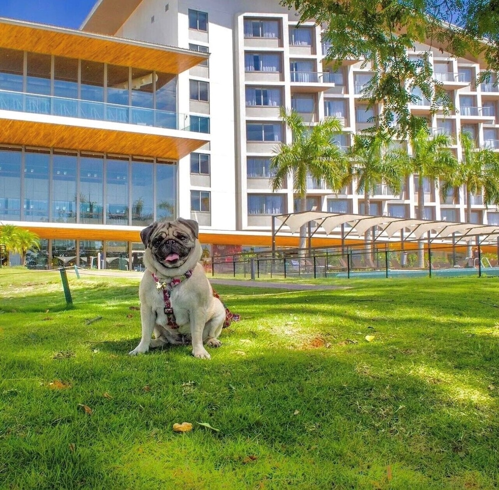 Novotel Itu Terras de Sao Jose Golf & Resort 73/76