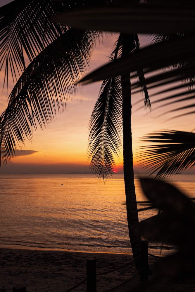 Nikki Beach Resort & Spa Koh Samui 64/68