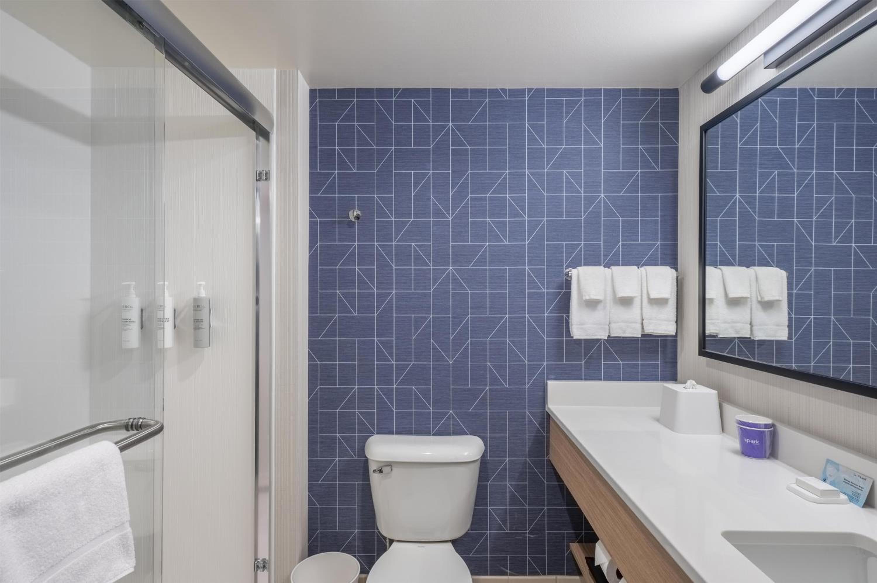 STUDIO, SUITE, KING BED, ACCESSIBLE