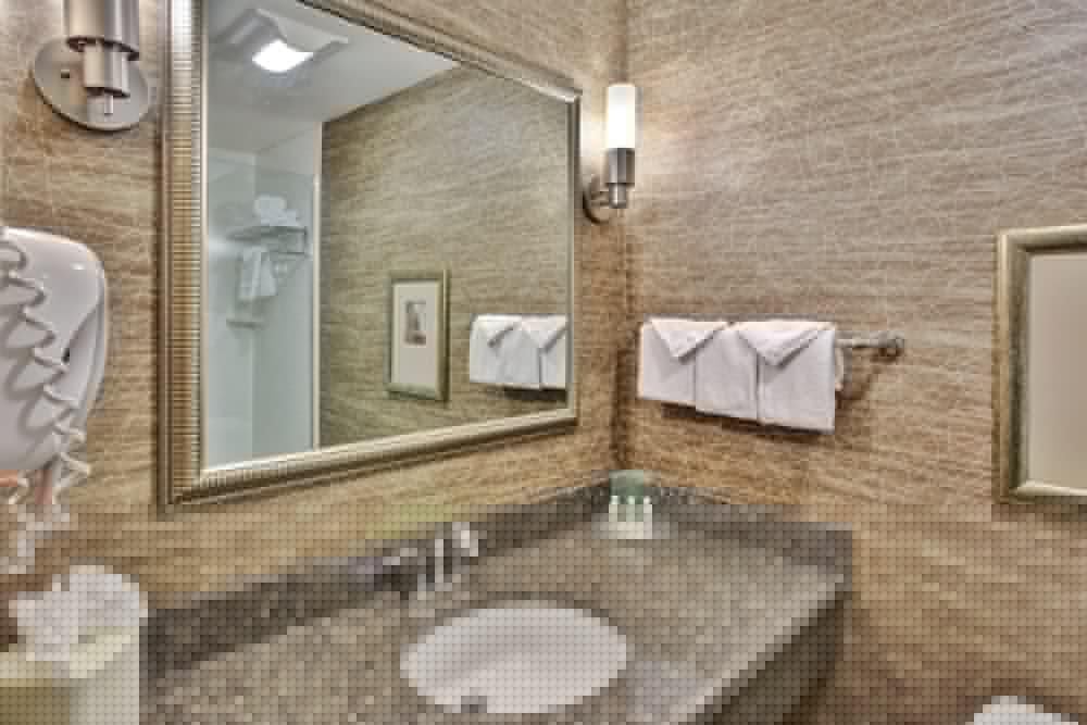 Holiday Inn Detroit Metro Airport 12/58