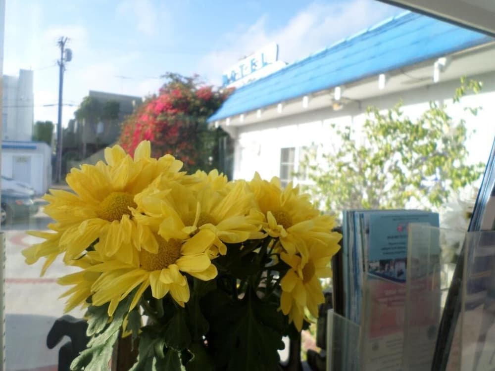 Rest Haven Motel 写真5