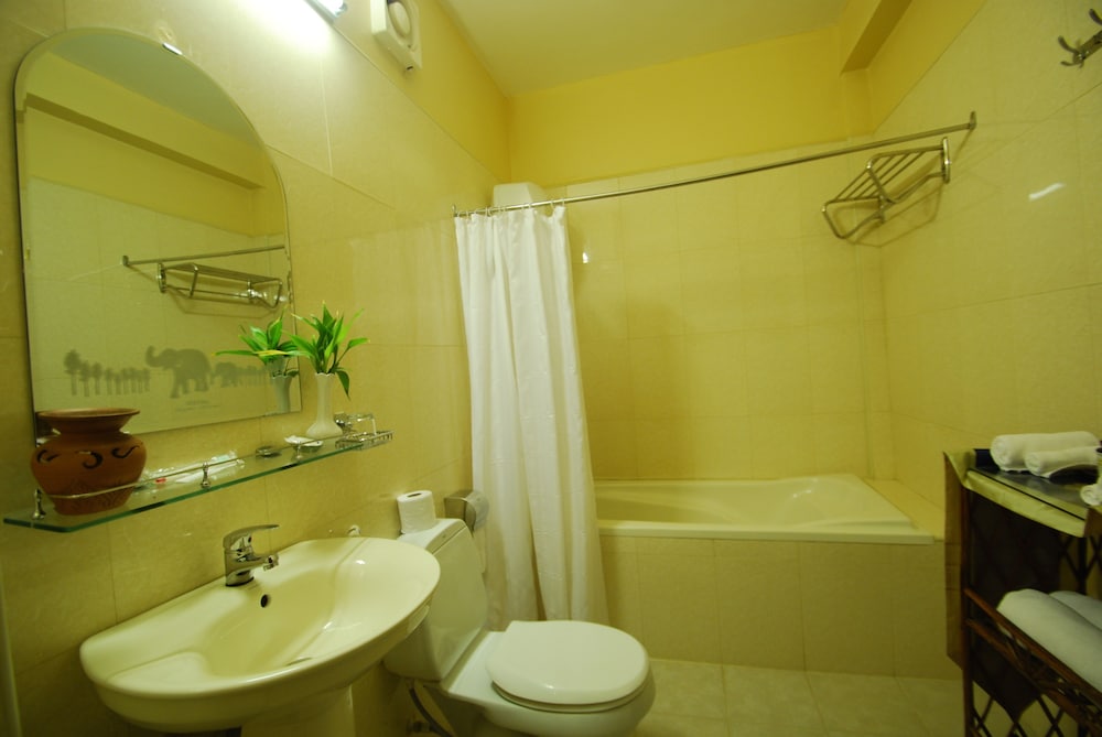 Shining Angkor Boutique Hotel 26/76