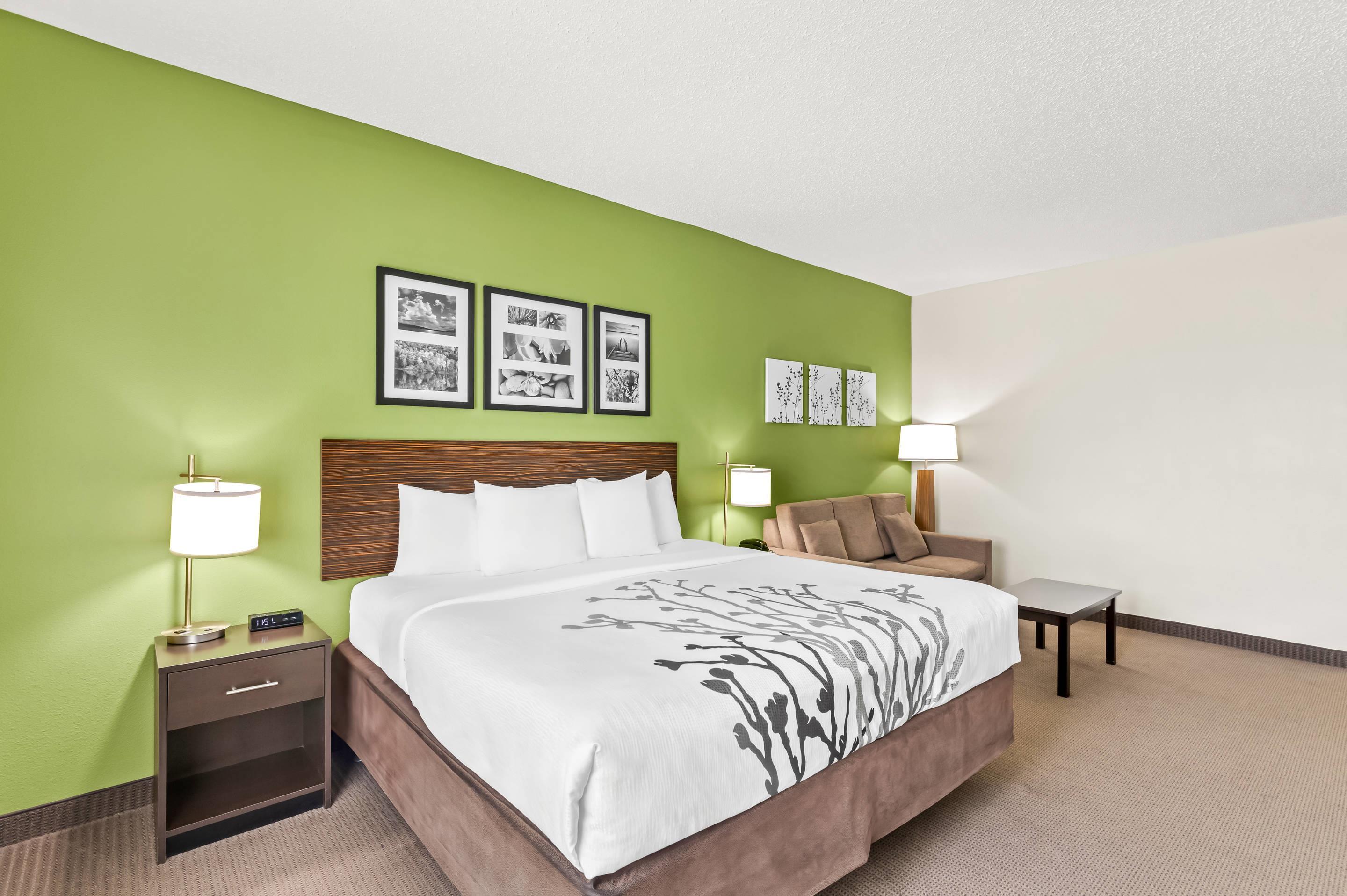 Suite, King Bed, Accessible