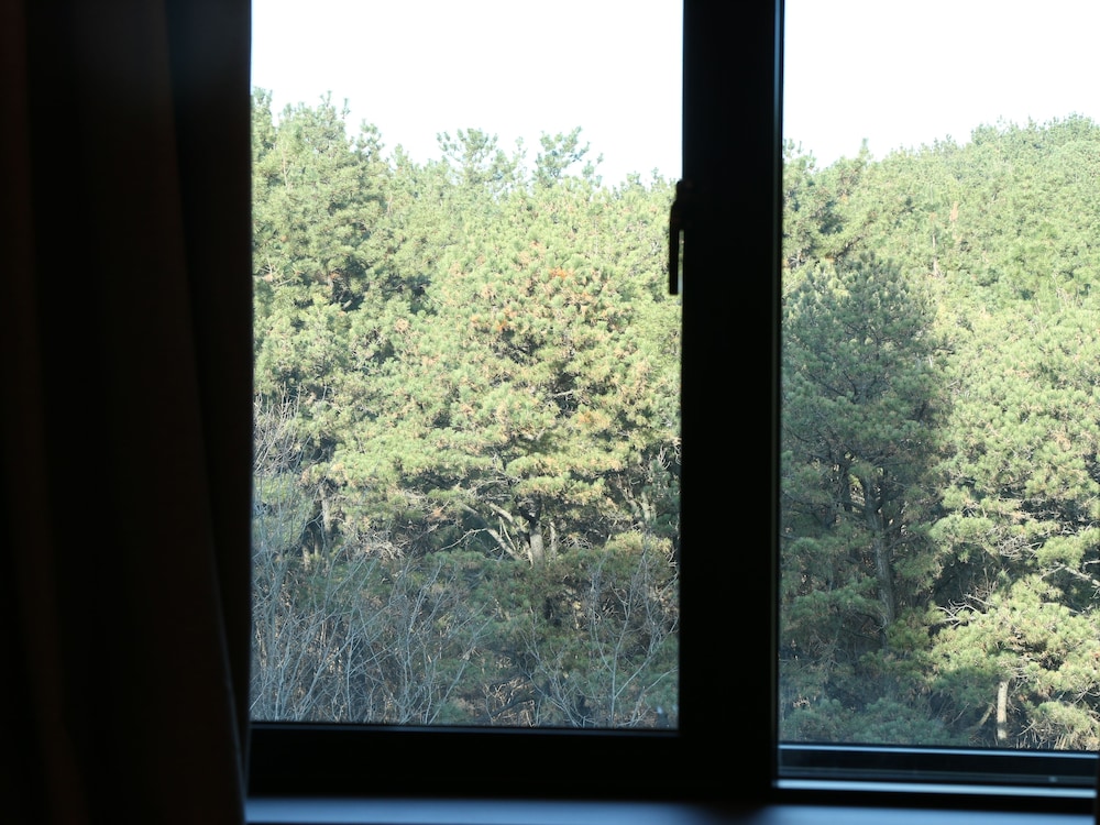 Changwon Brown dot Hotel Palyong 36/39