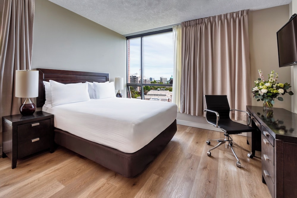 BASIC, STUDIO, SUITE, QUEEN BED