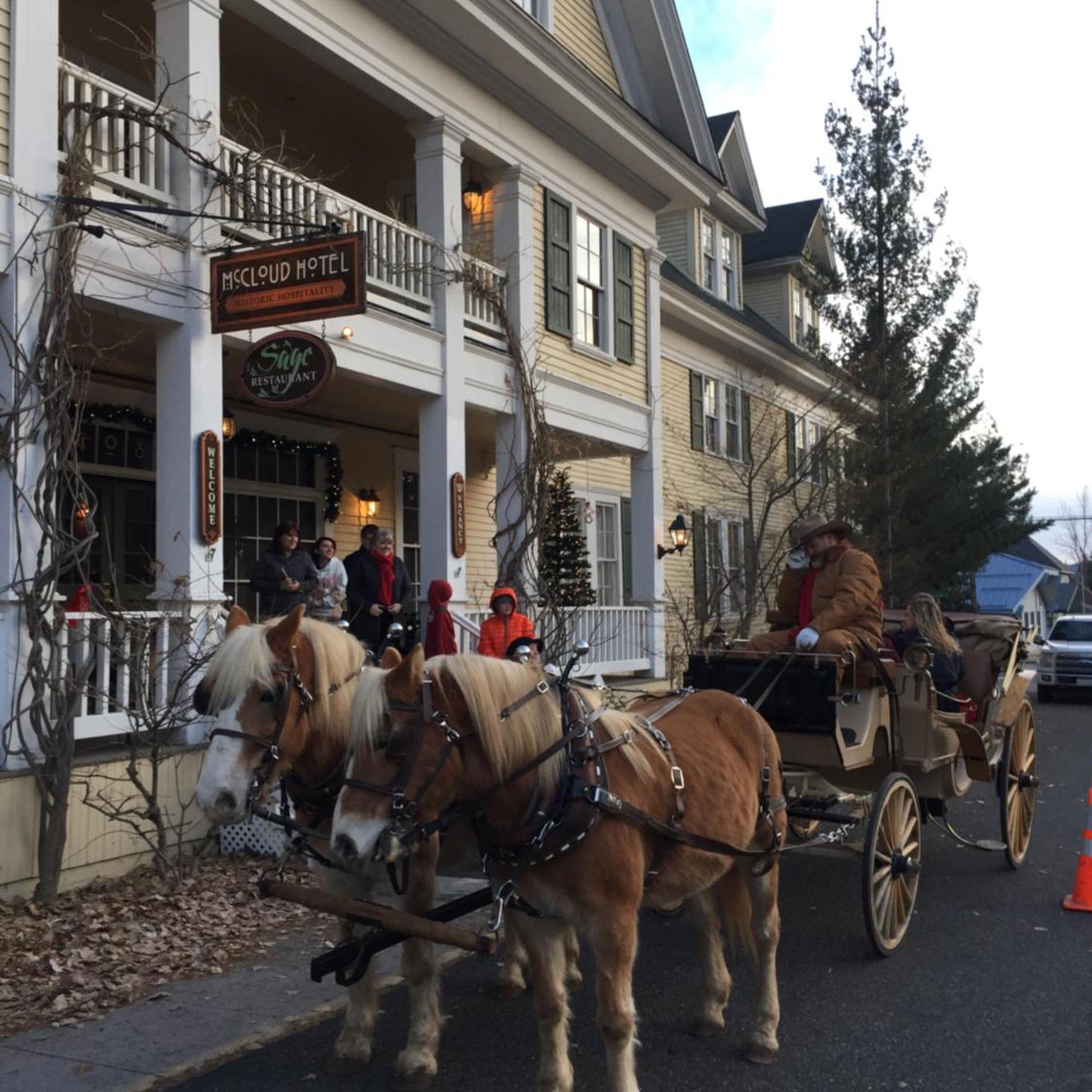 McCloud Hotel 39/50