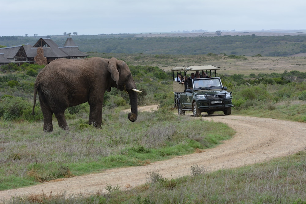 Garden Route Game Lodge 65/74
