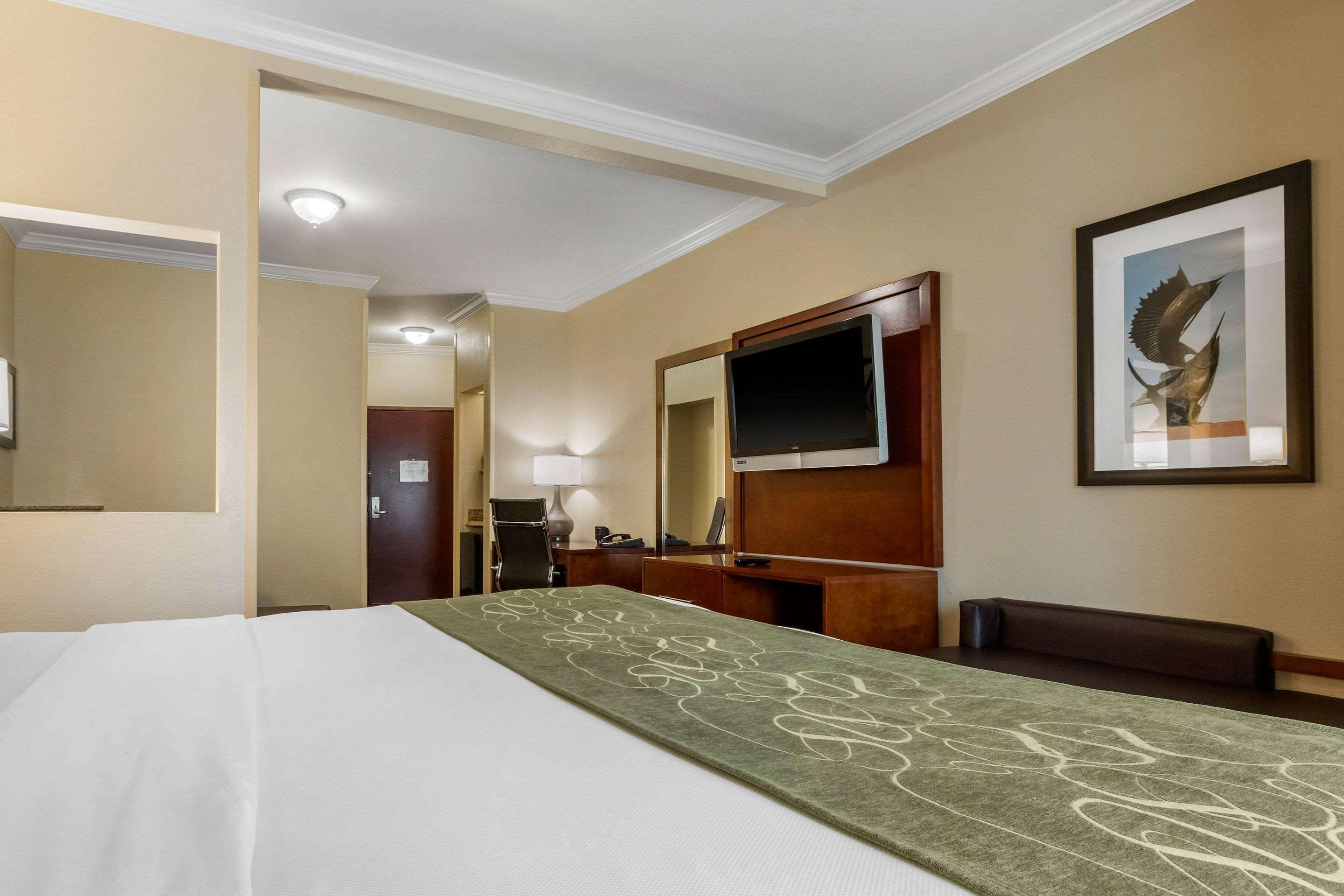 SUITE, KING BED