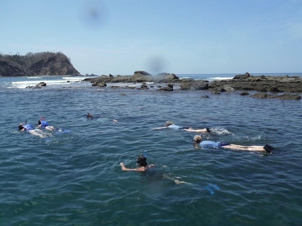 Hotel Playa Samara 42/50