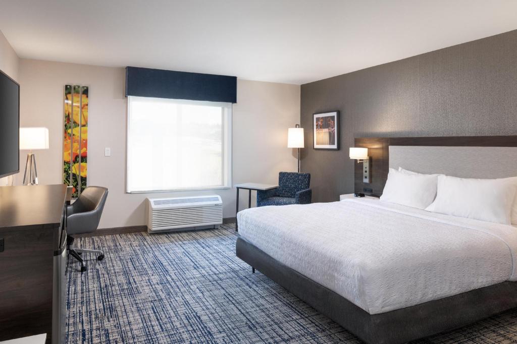 Studio, King Bed, Sofa, Accessible