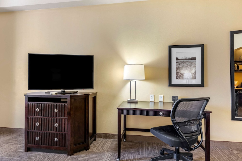 Comfort Suites Frisco 31/39