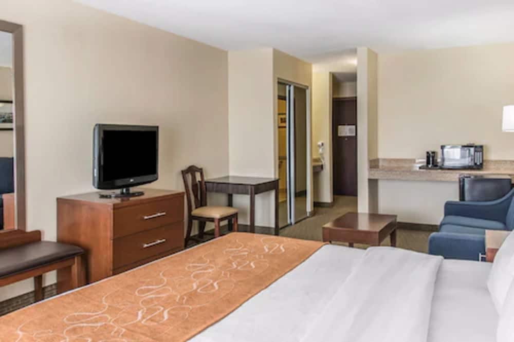 Comfort Suites Wixom - Novi 12/32