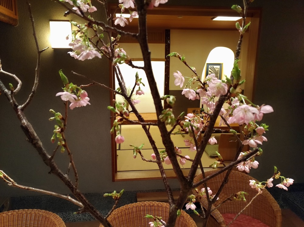 Historical Ryokan Hostel K's House Ito Onsen - Hostel 16/50