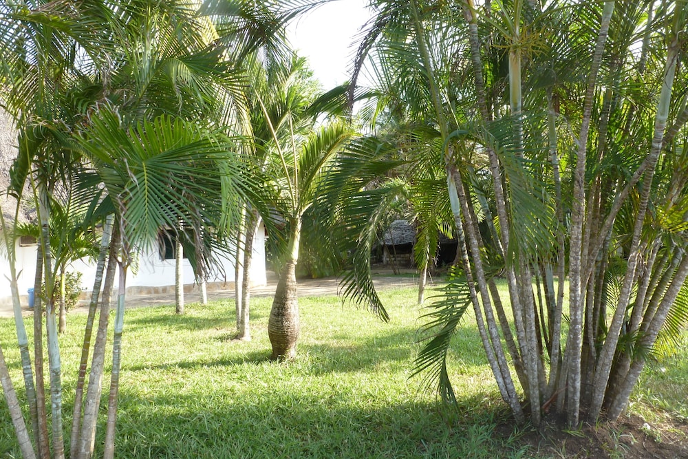 Villa Kalista 36/50