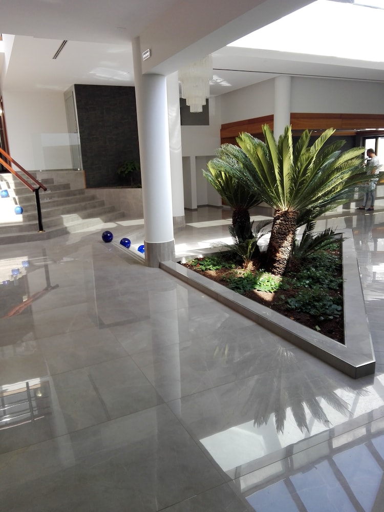 Hotel D Aragona 12/40