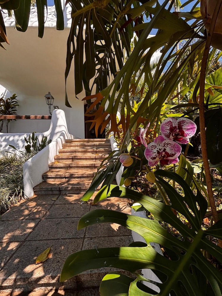 Les Jardins de Rio 44/49