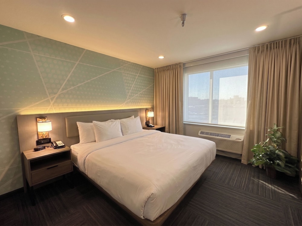 Efficiency, Suite, King Bed, 2 Sofa