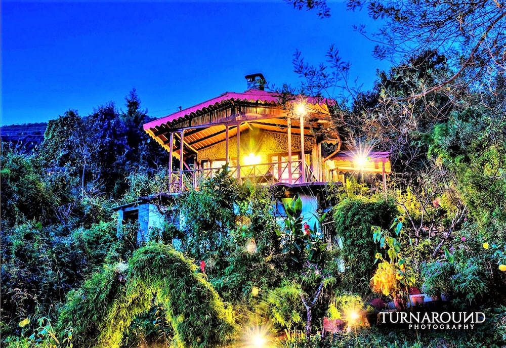Jungle Lore Birding Lodge 1/29