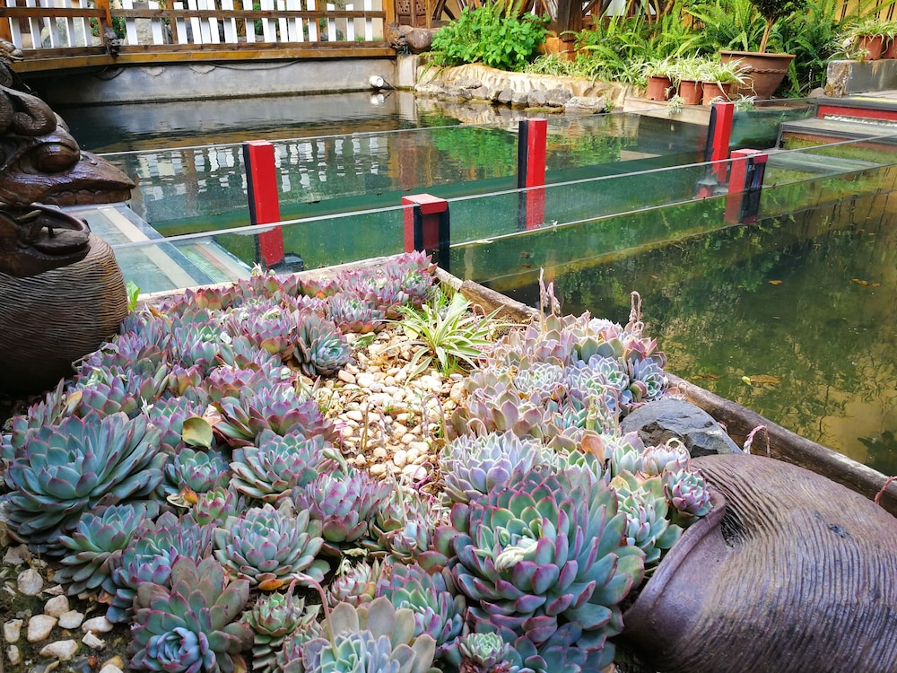 China Old Story Inn Lijiang Elite Garden 40/50
