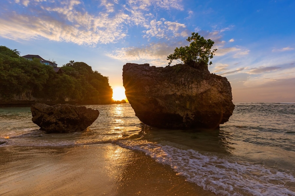 Mantra Wellness Bali 57/63