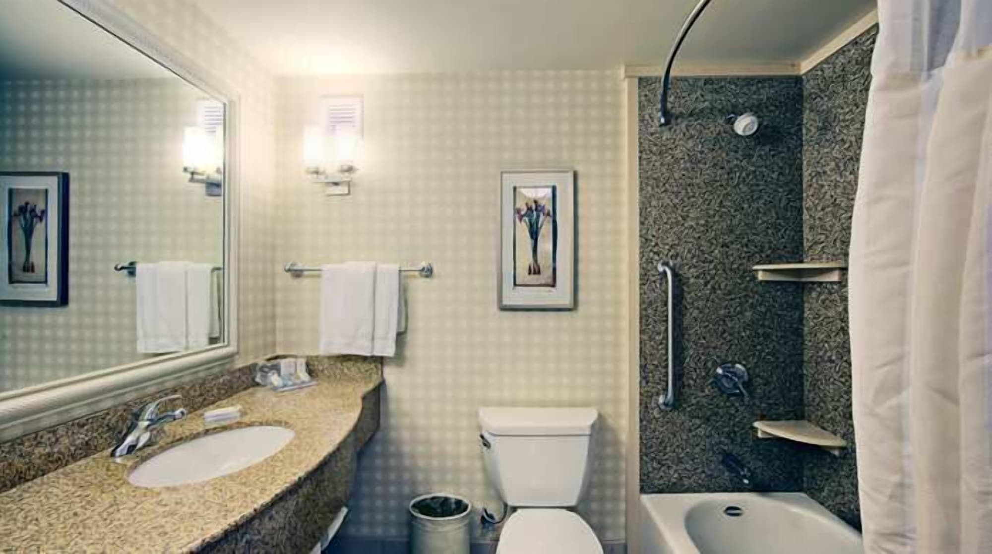 Evolution, King Bed، Hilton Garden Inn Palmdale 9/10