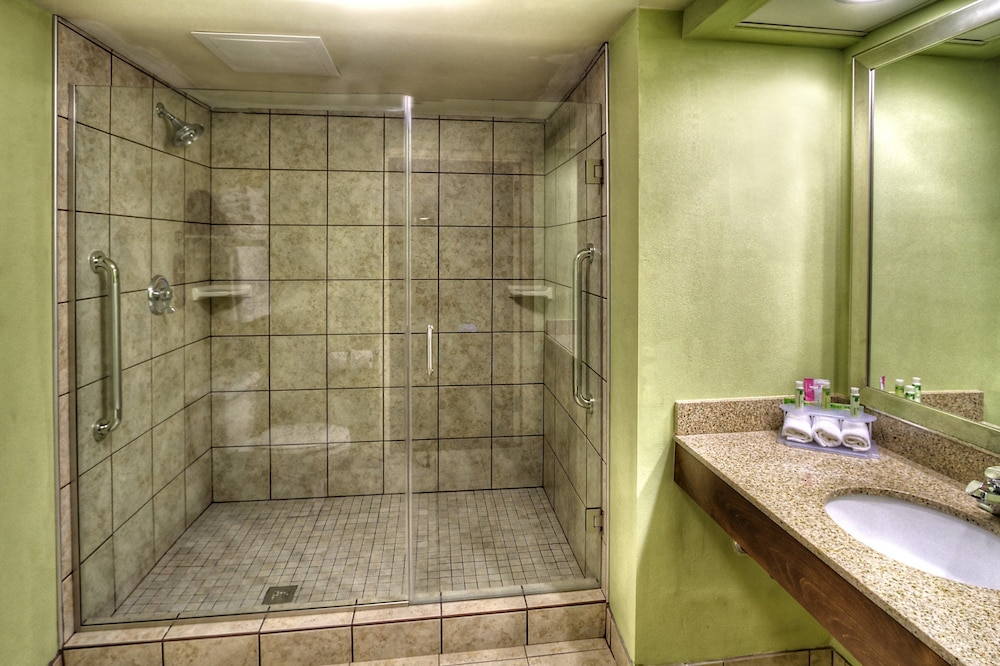 Holiday Inn Express Greenville 61/64