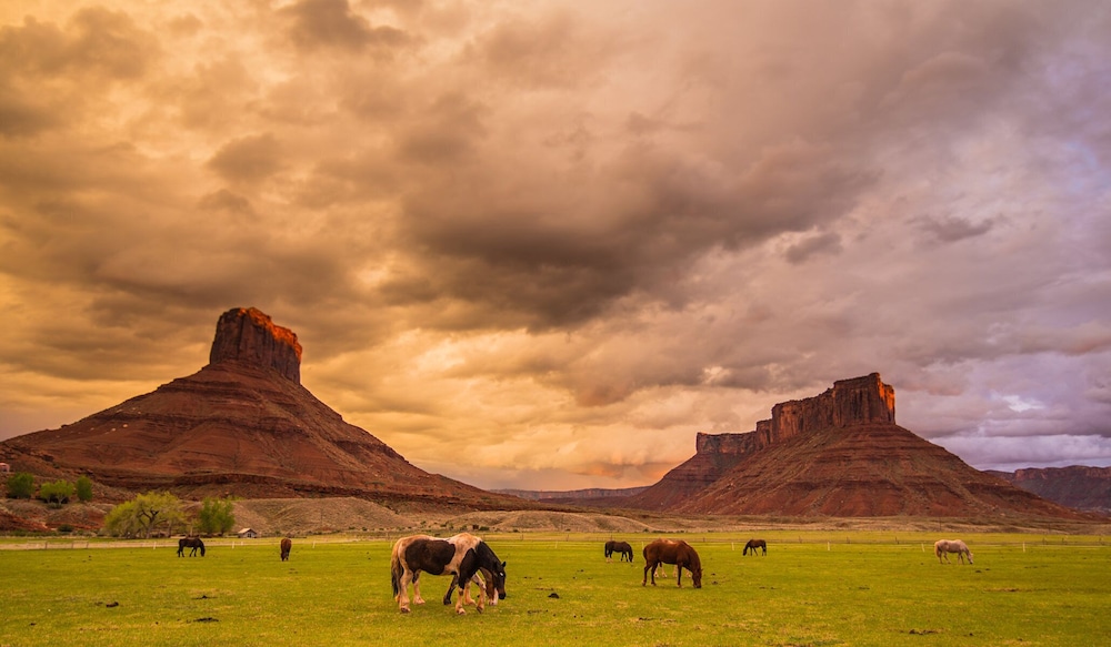 Sorrel River Ranch Resort And Spa 43/50