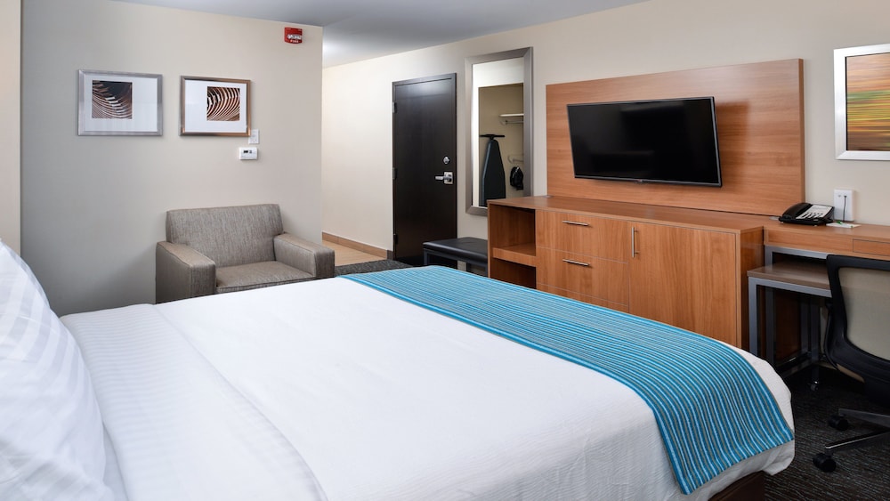 Holiday Inn Hotel And Suites Edmonton Airport Conference Centre 20/70