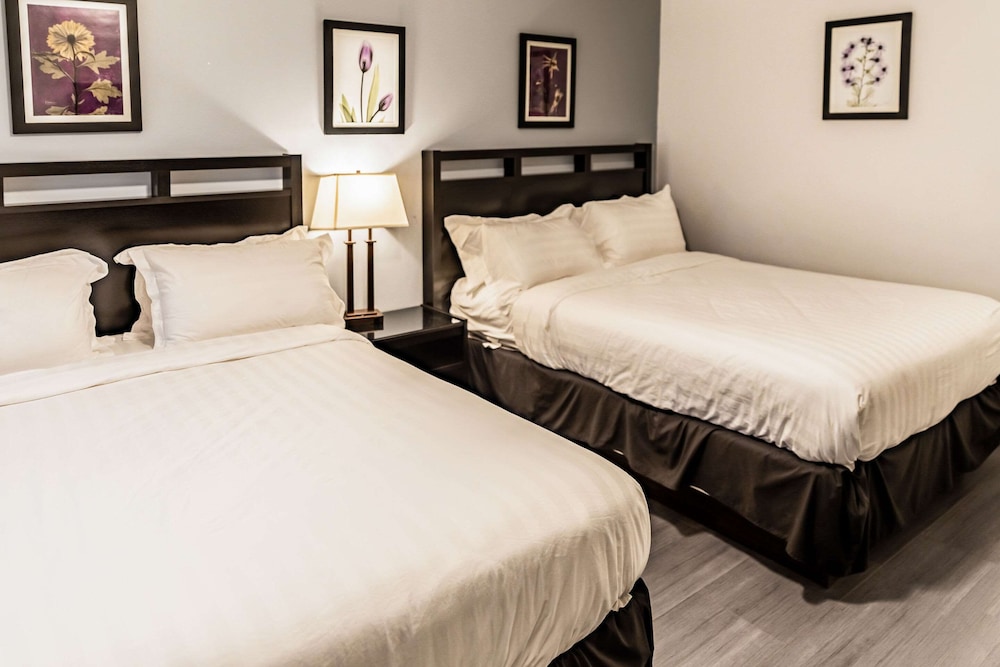Hidden Valley Resort, Ascend Hotel Collection 17/56