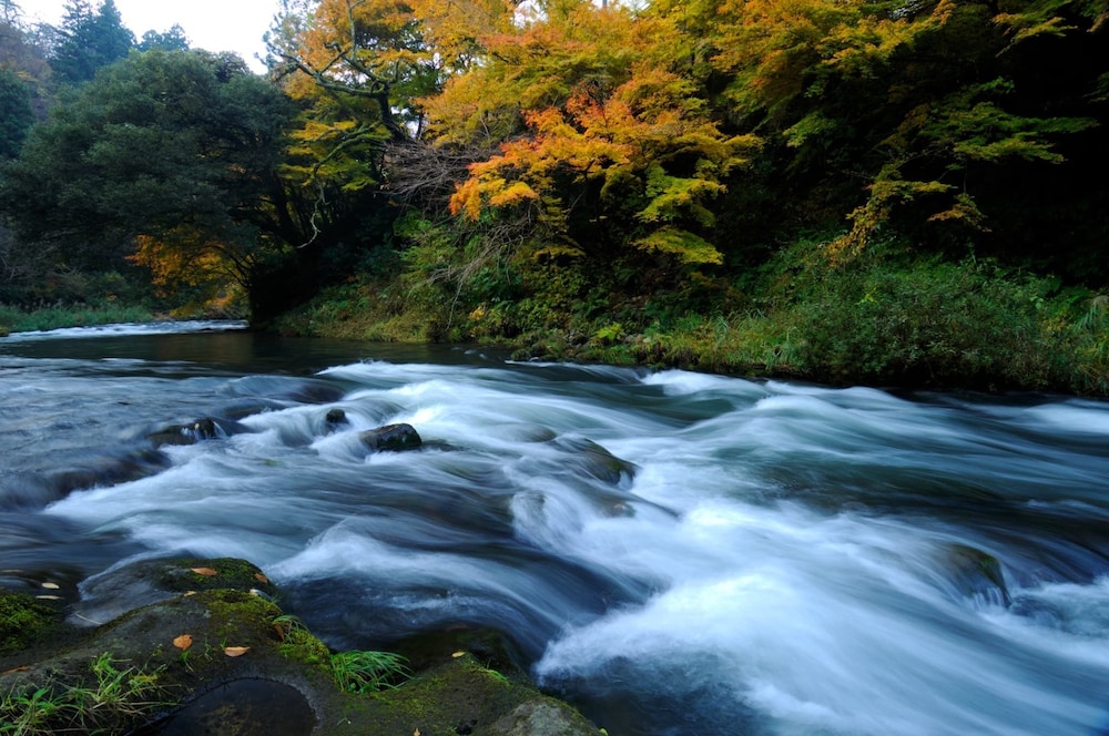 Yamanaka Onsen Shirasagiyu Tawaraya 46/52